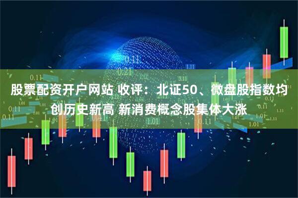 股票配资开户网站 收评：北证50、微盘股指数均创历史新高 新消费概念股集体大涨