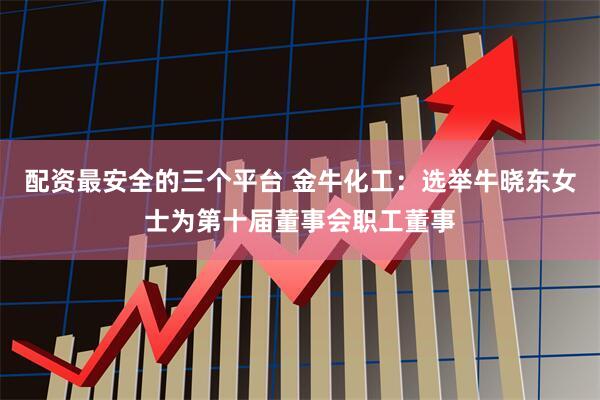 配资最安全的三个平台 金牛化工：选举牛晓东女士为第十届董事会职工董事