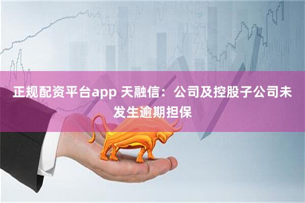 正规配资平台app 天融信：公司及控股子公司未发生逾期担保